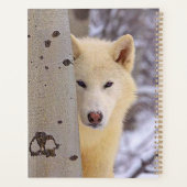 Loup (Dos)
