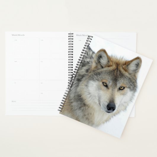 Loup (Devant avec enveloppe)