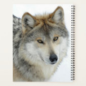 Loup (Dos)