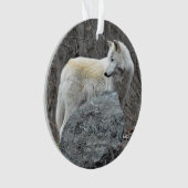 Loup (devant)