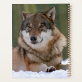 Loup (Dos)