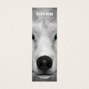 Loup Arctique