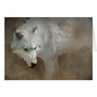 Loup blanc