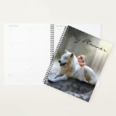 Loup blanc (Devant avec enveloppe)