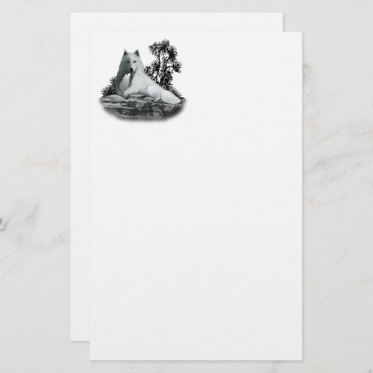 Loup blanc avec papeterie (Devant / Derrière)