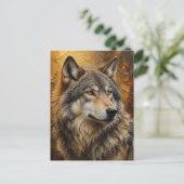 Loup. Carte postale (Debout devant)