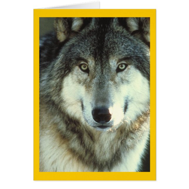 Loup de bois à partir de Junglewalk.com (Devant)