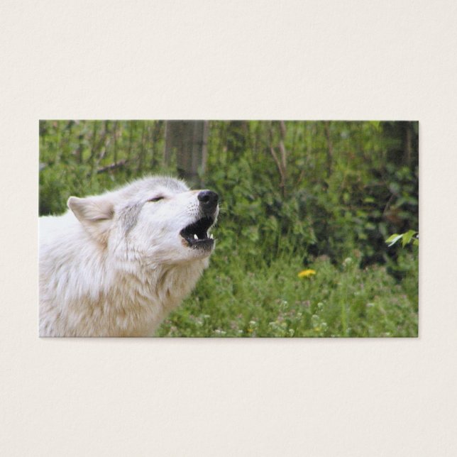 Loup de bois de canard 3 (Devant)