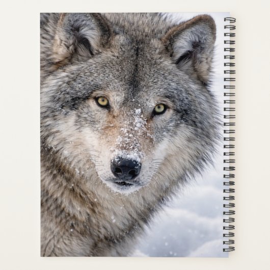 Loup de bois personnalisé (Dos)