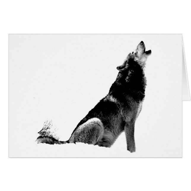 Loup de Howling blanc noir (Devant horizontal)