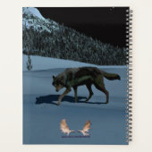 Loup d'hiver - Tapetum Lucidum (Dos)