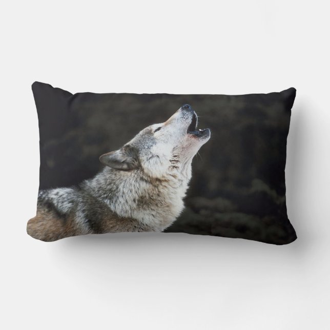 Loup d'hurlement dans le coussin lombaire de neige (Recto)