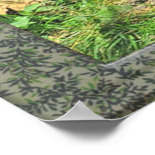 Loup Gris À Travers Une Fenêtre Affiche D'Art (Coin)