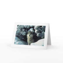 Loup gris dans le carte photo de neige