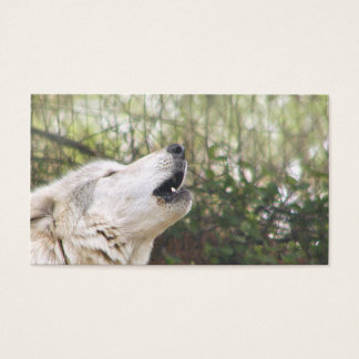 Loup gris hurlant