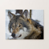 Loup gris, Puzzle de Jigsaw (Horizontal)