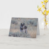loup gris sur la carte de voeux de Yellowstone (Fleur jaune)