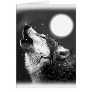 Loup hurlant à la lune