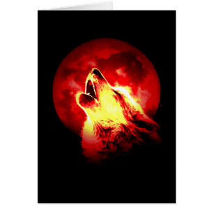 Loup hurlant la nuit rouge