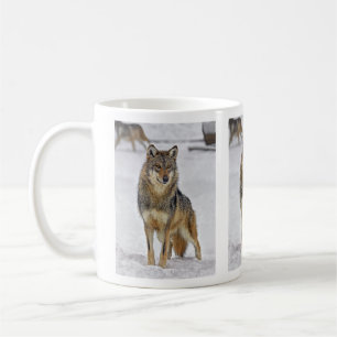 Loup sur la tasse de montre