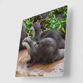 Loupe Gris affamé, horloge murale Carré (Angle)