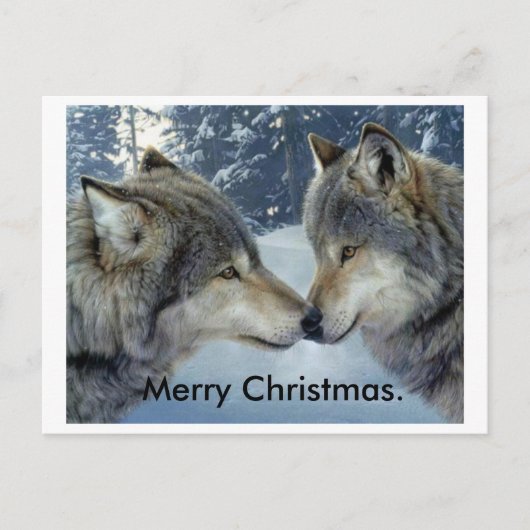 loups frottant le nez joyeux cartes postales de No (Devant)