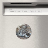 Loups Loup aimant (In Situ (Lave-vaisselle))