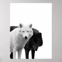 Loups Noir Blanc Cabane Rustique Photo Affiche