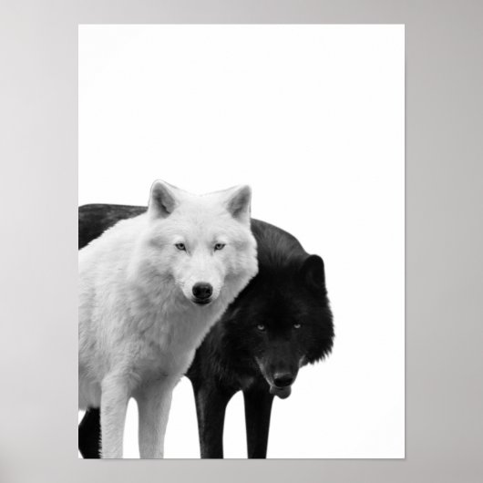 Loups Noir Blanc  Cabane Rustique Photo Affiche (Devant)