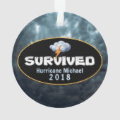 L'ouragan Michael (dos)