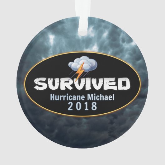 L'ouragan Michael (dos)