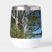 L'Ours De Koala Dormait Dans Un Arbre De Gomme, (Avant)