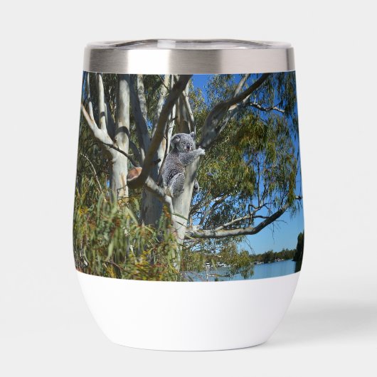 L'Ours De Koala Dormait Dans Un Arbre De Gomme, (Arrière)