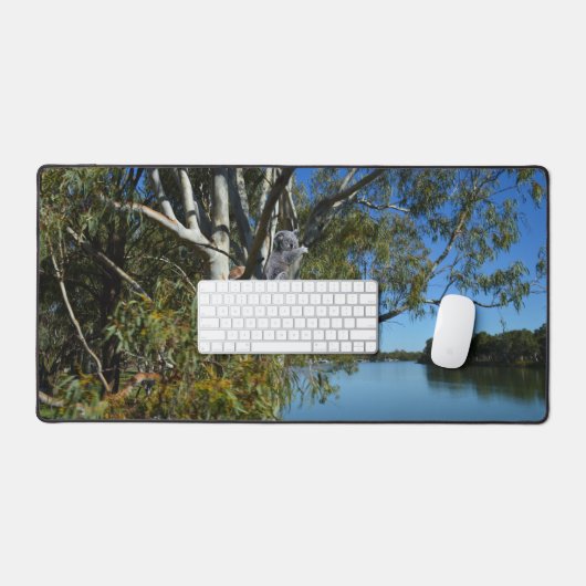 L'Ours De Koala Dormait Dans Un Arbre De Gomme, (Clavier et souris)