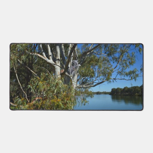 L'Ours De Koala Dormait Dans Un Arbre De Gomme, (Recto)