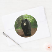 L'Ours Noir Traversant Les Stickers De Forêt (Enveloppe)