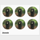 L'Ours Noir Traversant Les Stickers De Forêt (Feuille)