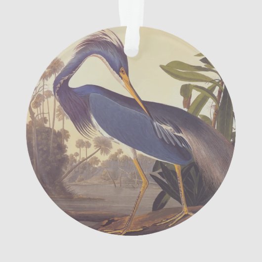 Lousiana Heron en gris, vert et bleu par Audubon (dos)