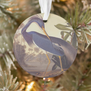 Lousiana Heron in grijs, groen en blauw door Audub Ornament