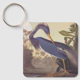 Lousiana Heron in grijs, groen en blauw door Audub Sleutelhanger