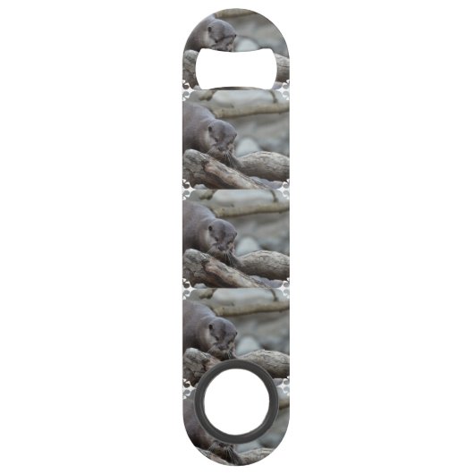 Loutre adorable (Devant)