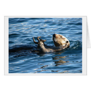 Loutre de mer