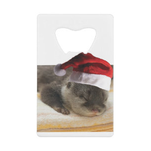 Loutre-dormante