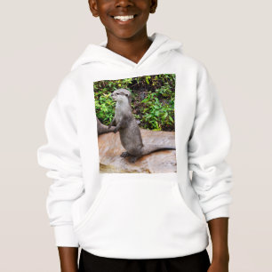 Loutre qui est absolument incroyable,