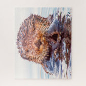Loutres de mer de nos mers Puzzle (Vertical)