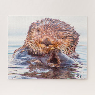 Loutres de mer de nos mers Puzzle