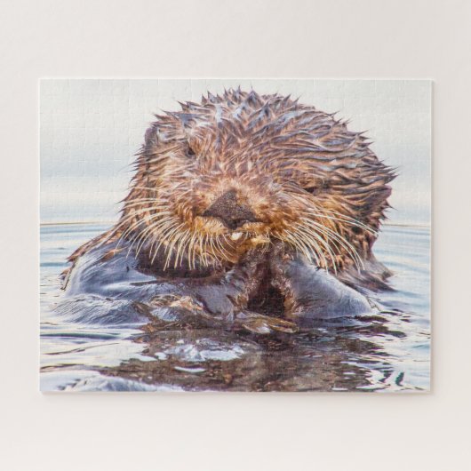 Loutres de mer de nos mers Puzzle (Horizontal)