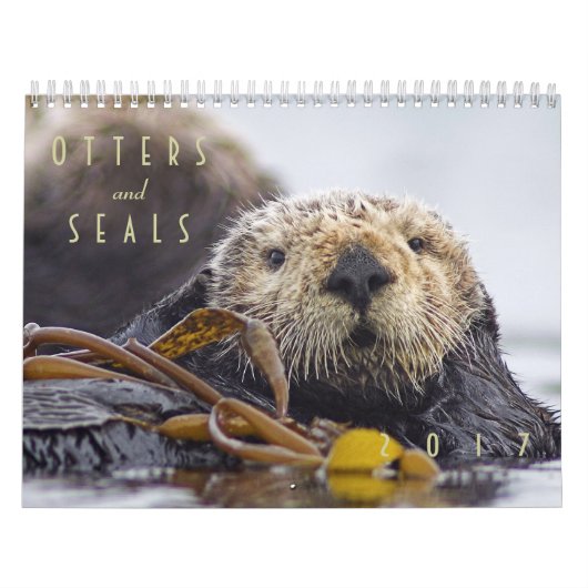 Loutres de mer et calendrier mural des joints 2017 (Protection)