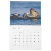 Loutres de mer et calendrier mural des joints 2017 (Feb 2027)