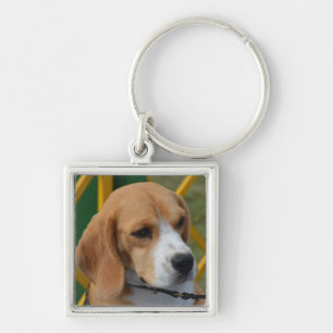 Lovable Beagle Sleutelhanger